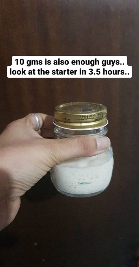 Beginners Sourdough Starter recipe - Your one-stop Guide ...
