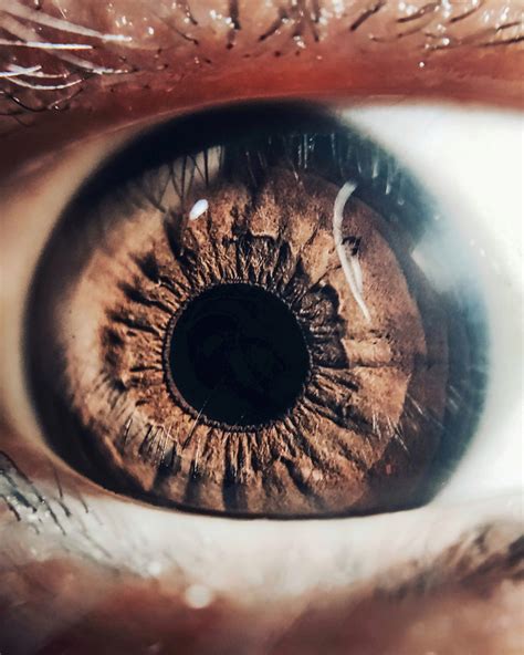 Human Eye Close Up