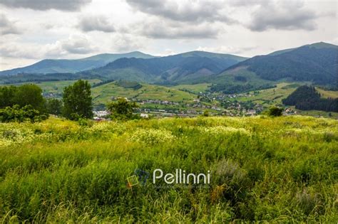 Pellinni Photo And Design Portfolio Stock Photo Blog