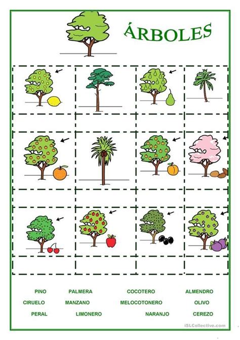 Árboles Y Frutas Español Ele Hojas De Trabajo 植物