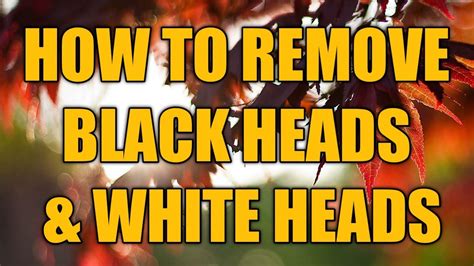 How To Remove Black Heads And White Heads In Simple Method