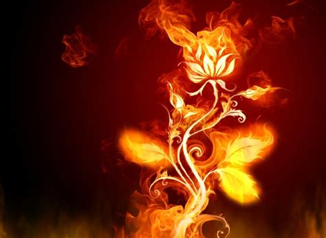 50 Wallpapers For Fire Tablet