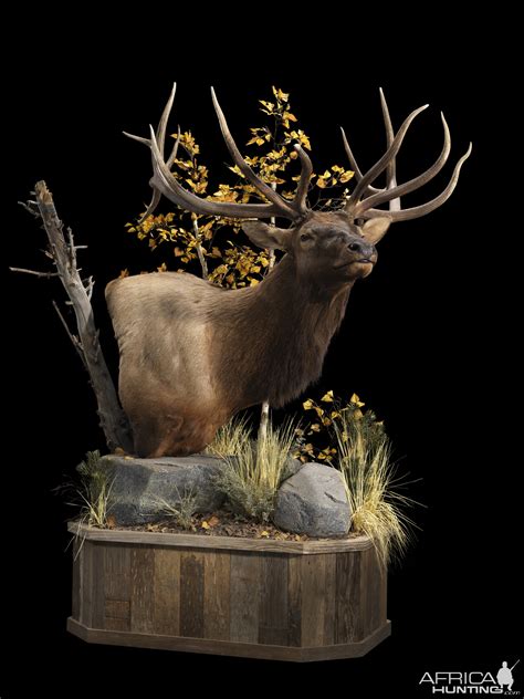 Elk Pedestal Mount