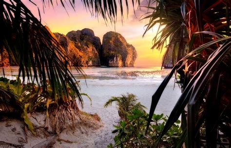 Palm Trees Tropical Island Wallpapers Wallpaper Cave