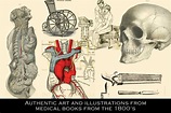 100 Vintage Medical Illustrations on Yellow Images Creative Store
