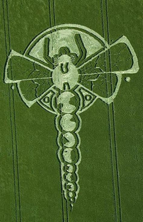 Dragonfly Crop Circle Ufo Mystery Alien Nature Hyperspace Etsy