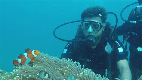 Scuba Diving In Havelock Island Andaman Nicobar Zabardast