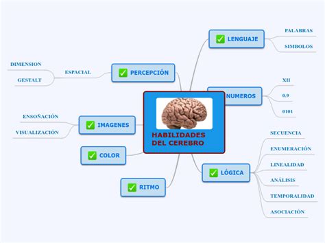 Solution Habilidades Del Cerebro Mapas Conceptuales Studypool The