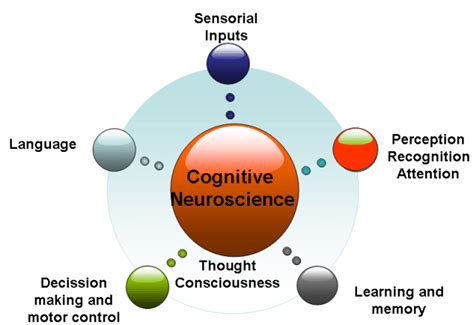 Cognitive Neuroscience Distance Learning Infolearners