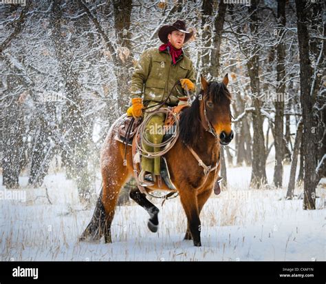 Cowboys Riding Horses In Snow Banque De Photographies Et Dimages à