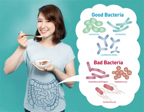 Gut Microbiome Biomed Supplements