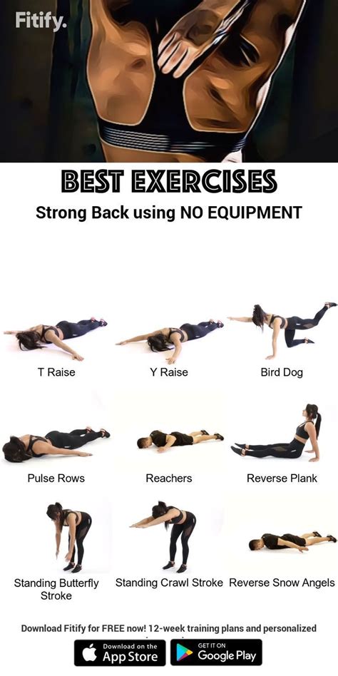 Strong Back Using No Equipment Equipment Strong Exercise Fitness