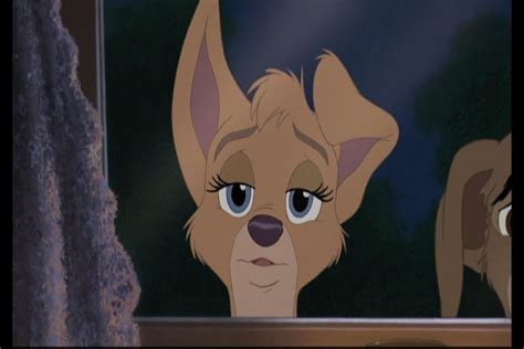 Lady And The Tramp 2 Screencaps Lady And The Tramp Ii Image 15595454