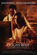 El informe Pelícano (1993) - FilmAffinity