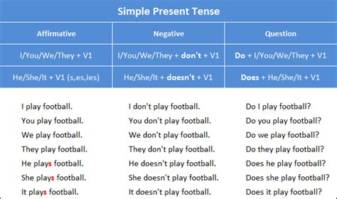 Subject + main verb + object. Simple Present Tense