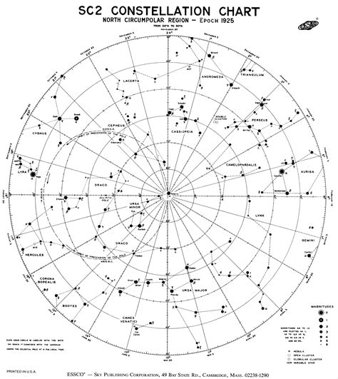 Star Chart Tattoo Tattoo Pinterest Constellations Constellation
