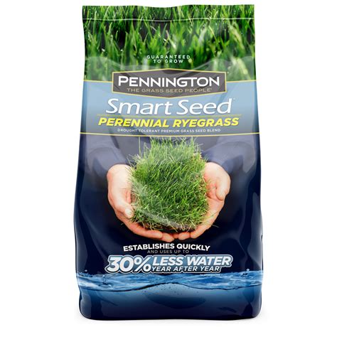 Pennington Smart Seed Perennial Ryegrass Grass Seed 3 Lb Covers Up To