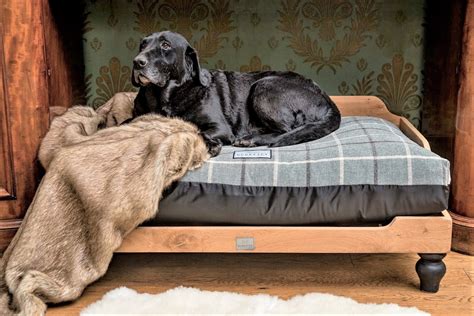 Extra Large Wooden Dog Beds Uk Handmade From Solid Oak