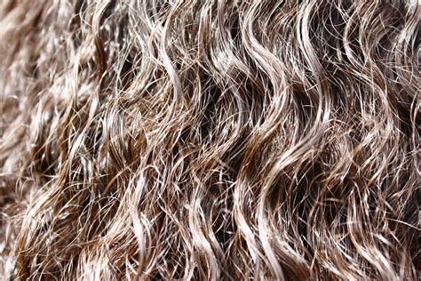 Free Photo Hair Curly Wavy Women Free Image On Pixabay 723302