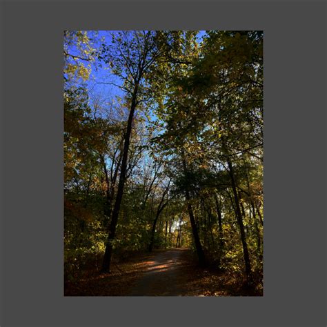 Beautiful Fall Wooded Trail Scene With A Pond Indian Creek Trail