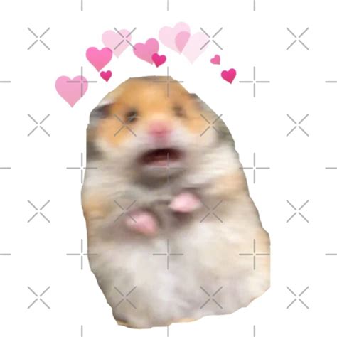 Screaming Hamster Meme