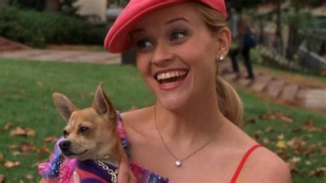 Exclusive Legally Blonde 3 Release Date Finally Confirmed As Reese