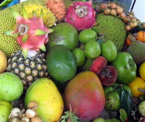 Tropical Gardening Helpline Hawaii Tropical Fruit Growers