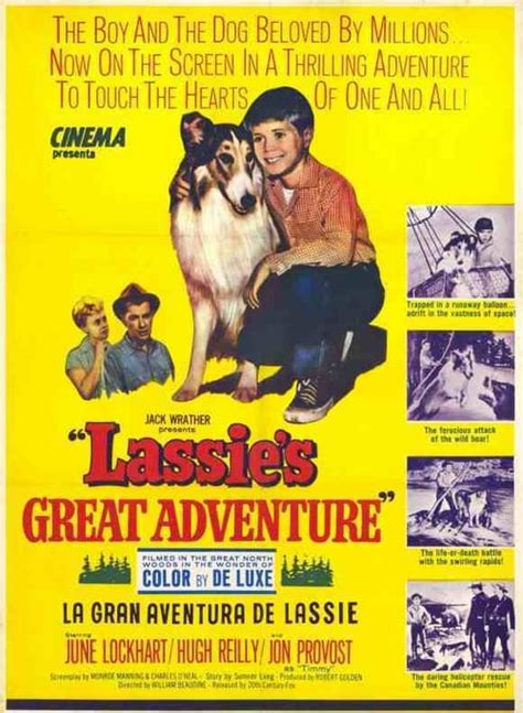 Lassie 1954 1973