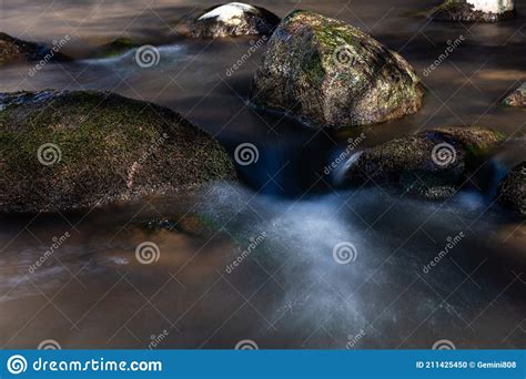 A Small Forest River With Waterfalls Stock Photo Image Of Foliage