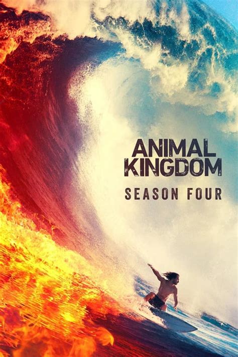 Animal Kingdom Saison 4 Complète En Streaming Vf Français
