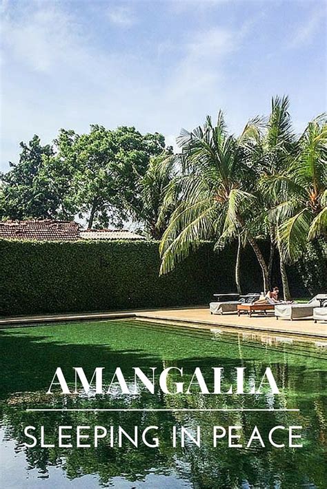 Looking For The Ultimate Luxury Hotel In Sri Lanka Look No Further But