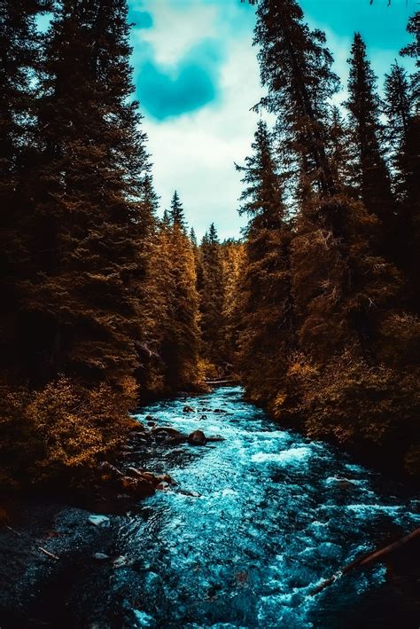 1000 Free Alaska And Nature Images Pixabay