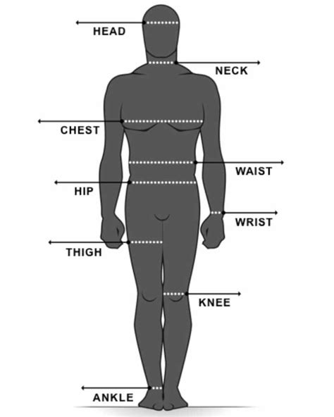 Printable Male Body Measurements Chart Free Printable Images And