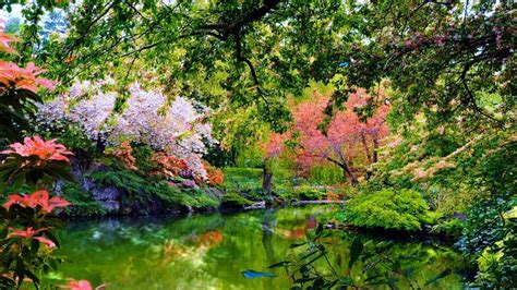 Lake Between Beautiful Colorful Flowers Garden With