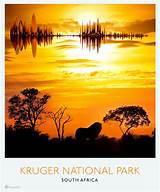 Pictures of Kruger Park In South Africa