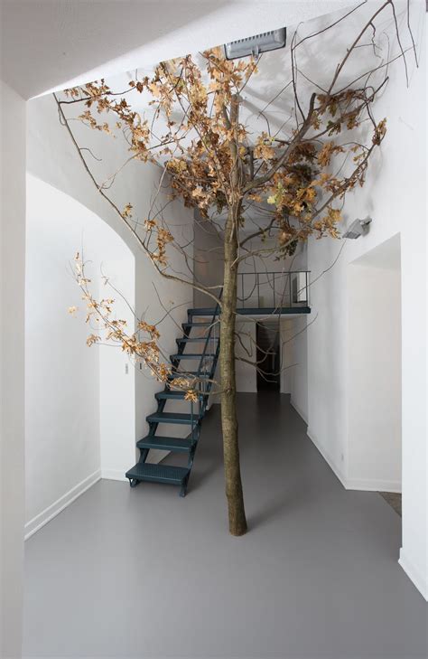 Visualizza altre idee su piante da appartamento, piante da interno, piante. Un albero con le radici. Da Franco Noero a Torino torna la ...