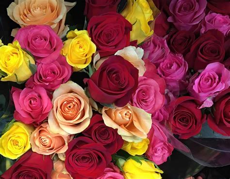 The Most Romantic Flowers Cascade Floral Wholesale