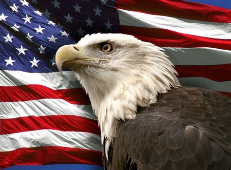 American Flag Eagles Wallpapers Top Free American Flag Eagles Backgrounds WallpaperAccess