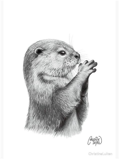 Otter Pencil Sketch Poster By Christineluiten Otter Art Pencil