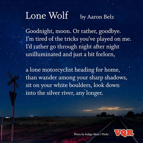 Lone Wolf By Aaron Belz Poem Poetry Vqr Instapoetry Pinterest