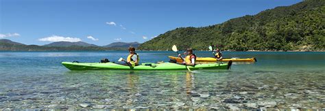 Things To Do In Picton Marlborough Sounds Tours And Cruises