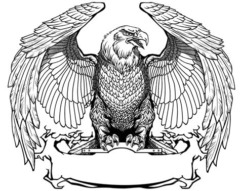 águila Con Alas Abiertas águila Negra Y Blanca Vector Depredador Vector