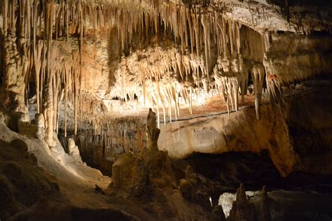 Excursión A Las Cuevas Del Drach En Mallorca En Palma De Mallorca