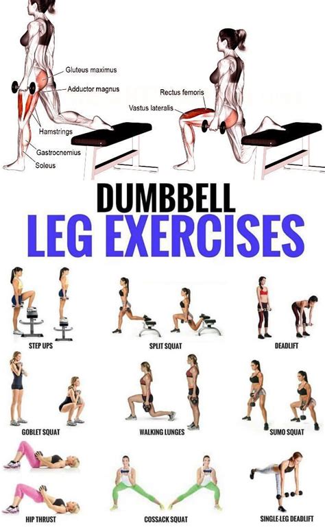 Top Dumbbell Exercises For A Leg Destroying Workout Gymguider Com Lower Body Workout Leg