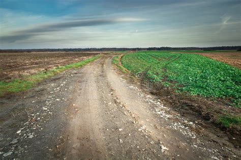 A Dirt Road Through Fields And Clouds To The Sky Stock Photo Image Of