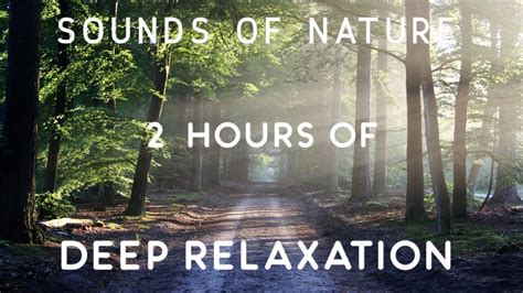 The Sounds Of Nature Deep Relaxation Music Meditation Music Youtube