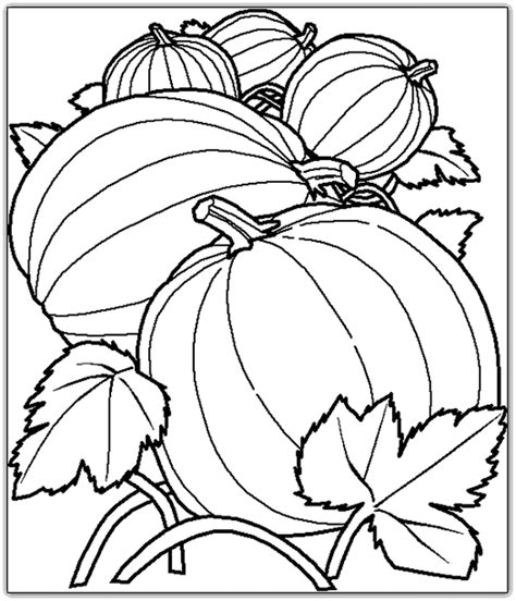 Pumpkin Patch Coloring Pages Free Printable