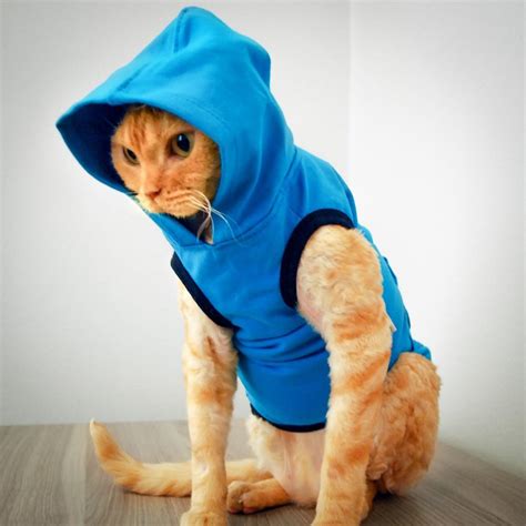 Any picture of any cat wearing any piece of clothing is welcome. Cat Clothes | Cat Clothing | Clothes for Cats | Cat-toure ...