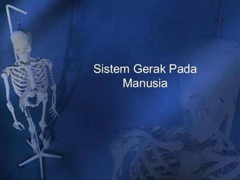 Ppt Sistem Gerak Pada Manusia Homecare24