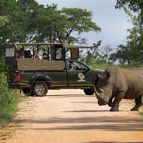 Turismo E Viagem Para Parque Nacional De Kruger 2021 Férias Em Parque Nacional De Kruger